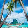 Iconic Arts Laminated 24x36 Poster: Beach Swing Between Palm Trees with Landscape of hut in Body of Water hd Beach HD view 1