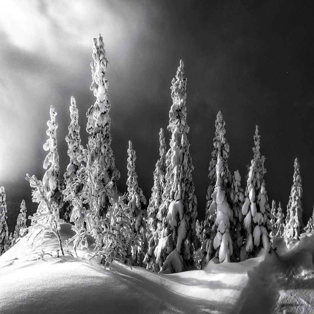 Iconic Arts Laminated 24x36 Poster: Black and White Picture of Snow Covered Landscape and Trees Under Dark Clouds hd Nature HD