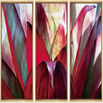 SIGNWIN Framed Canvas Wall Art Blood Red Scarlet Star Bromeliad Succulent Botanical Plants Minimalism Modern Closeup Dramatic for Living Room, Bedroom, Office - 16"x24"x3 Panels