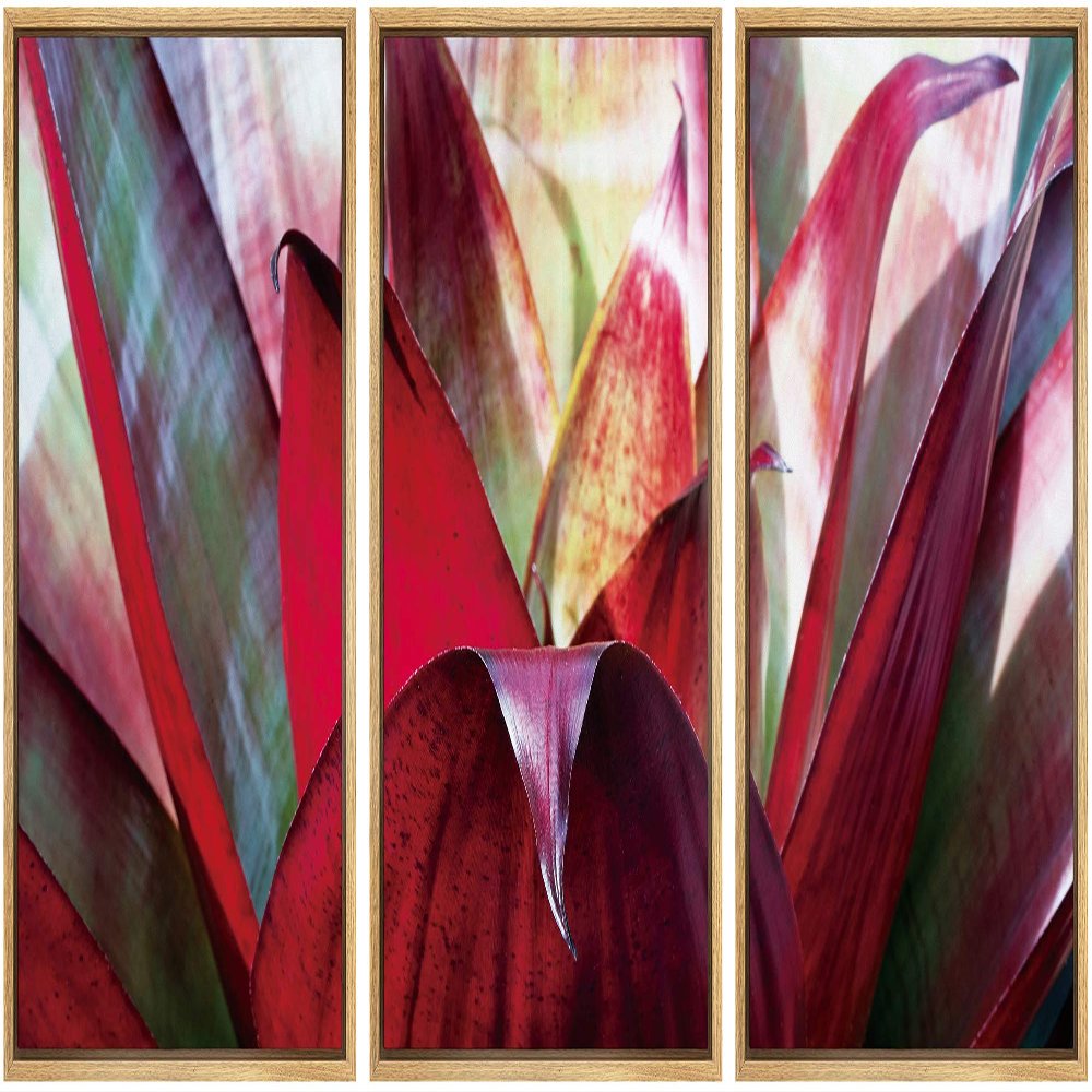 SIGNWIN Framed Canvas Wall Art Blood Red Scarlet Star Bromeliad Succulent Botanical Plants Minimalism Modern Closeup Dramatic for Living Room, Bedroom, Office - 16"x24"x3 Panels
