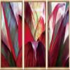 SIGNWIN Framed Canvas Wall Art Blood Red Scarlet Star Bromeliad Succulent Botanical Plants Minimalism Modern Closeup Dramatic for Living Room, Bedroom, Office - 16"x24"x3 Panels view 1
