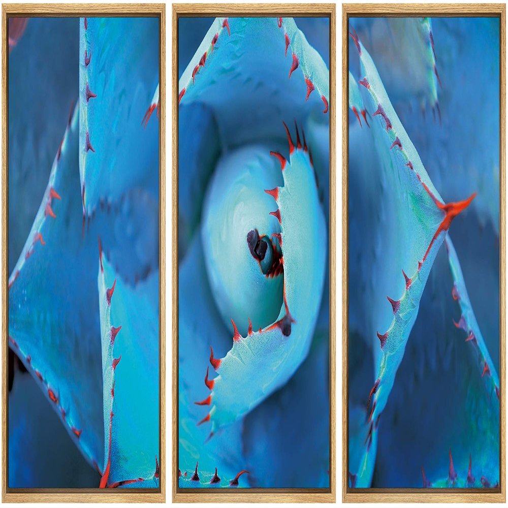 SIGNWIN Framed Canvas Wall Art A Blue Succulent with Red Needle Petals Botanical Plants Minimalism Modern Closeup Dramatic for Living Room, Bedroom, Office - 16"x24"x3 Panels