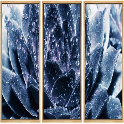 SIGNWIN Framed Canvas Wall Art Dark Purple Succulent with Raindrops Botanical Plants Minimalism Modern Closeup Dramatic for Living Room, Bedroom, Office - 16"x24"x3 Panels