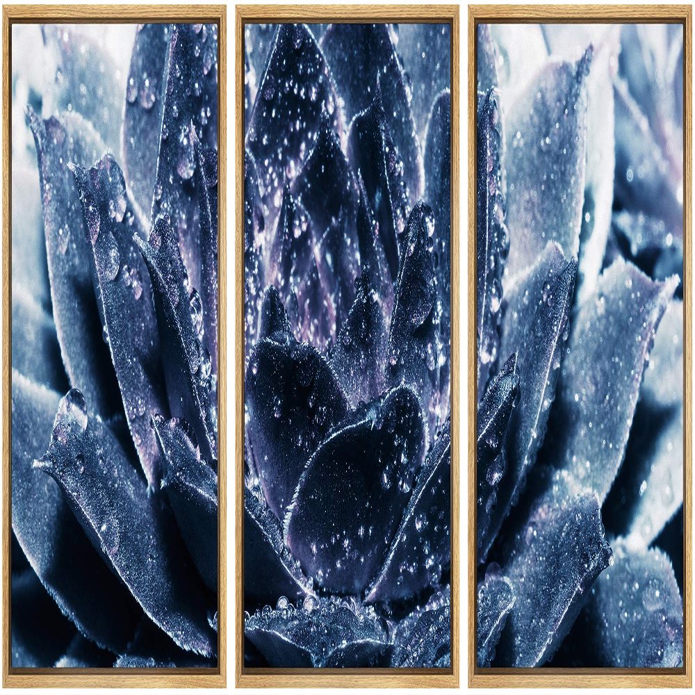 SIGNWIN Framed Canvas Wall Art Dark Purple Succulent with Raindrops Botanical Plants Minimalism Modern Closeup Dramatic for Living Room, Bedroom, Office - 16"x24"x3 Panels