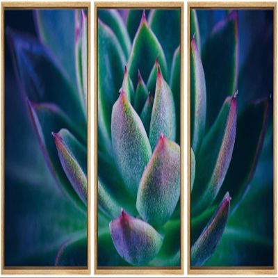 SIGNWIN Framed Canvas Wall Art Purple-Red, Green Petal Detail of a Succulent Botanical Plants Minimalism Modern Closeup Dramatic for Living Room, Bedroom, Office - 16"x24"x3 Panels