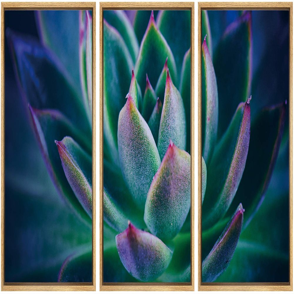SIGNWIN Framed Canvas Wall Art Purple-Red, Green Petal Detail of a Succulent Botanical Plants Minimalism Modern Closeup Dramatic for Living Room, Bedroom, Office - 16"x24"x3 Panels