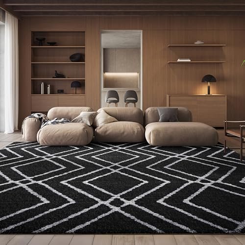 SAFAVIEH Area Rug 8x10 - Adirondack Collection - Large - Black & Light Grey, Modern Moroccan Design, Non-Shedding & Easy Cleaning, Ideal for Living Room, Bedroom, Office, Dining Space (ADR162F)