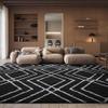 SAFAVIEH Area Rug 8x10 - Adirondack Collection - Large - Black & Light Grey, Modern Moroccan Design, Non-Shedding & Easy Cleaning, Ideal for Living Room, Bedroom, Office, Dining Space (ADR162F) view 1