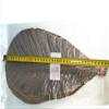 TONGTONG 20 Sheets Large Sun-Dried Vacuum Packed Hackberry LeavesNatural Wild Dried Hackberry Leaf for Barbecue Sushi Sashimi Mat Cuisine Decoration Pad view 2