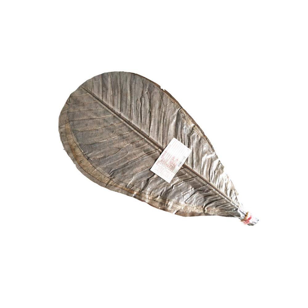 TONGTONG 20 Sheets Sun-Dried Vacuum Packed Hackberry LeavesNatural Wild Dried Hackberry Leaf for Barbecue Sushi Sashimi Mat Cuisine Decoration Pad