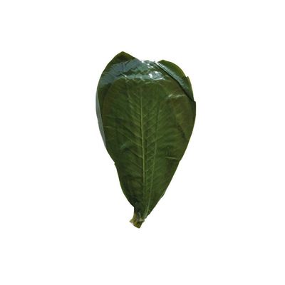 TONGTONG 20 Sheets Fresh Vacuum Packed Hackberry LeavesNatural Wild Dried Hackberry Leaf for Barbecue Sushi Sashimi Mat Cuisine Decoration Pad