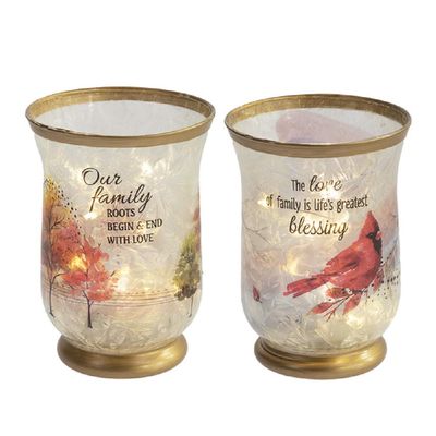 Ganz ER61965 The Beauty of Nature Jars with Light Decor, Set of 2, Glass