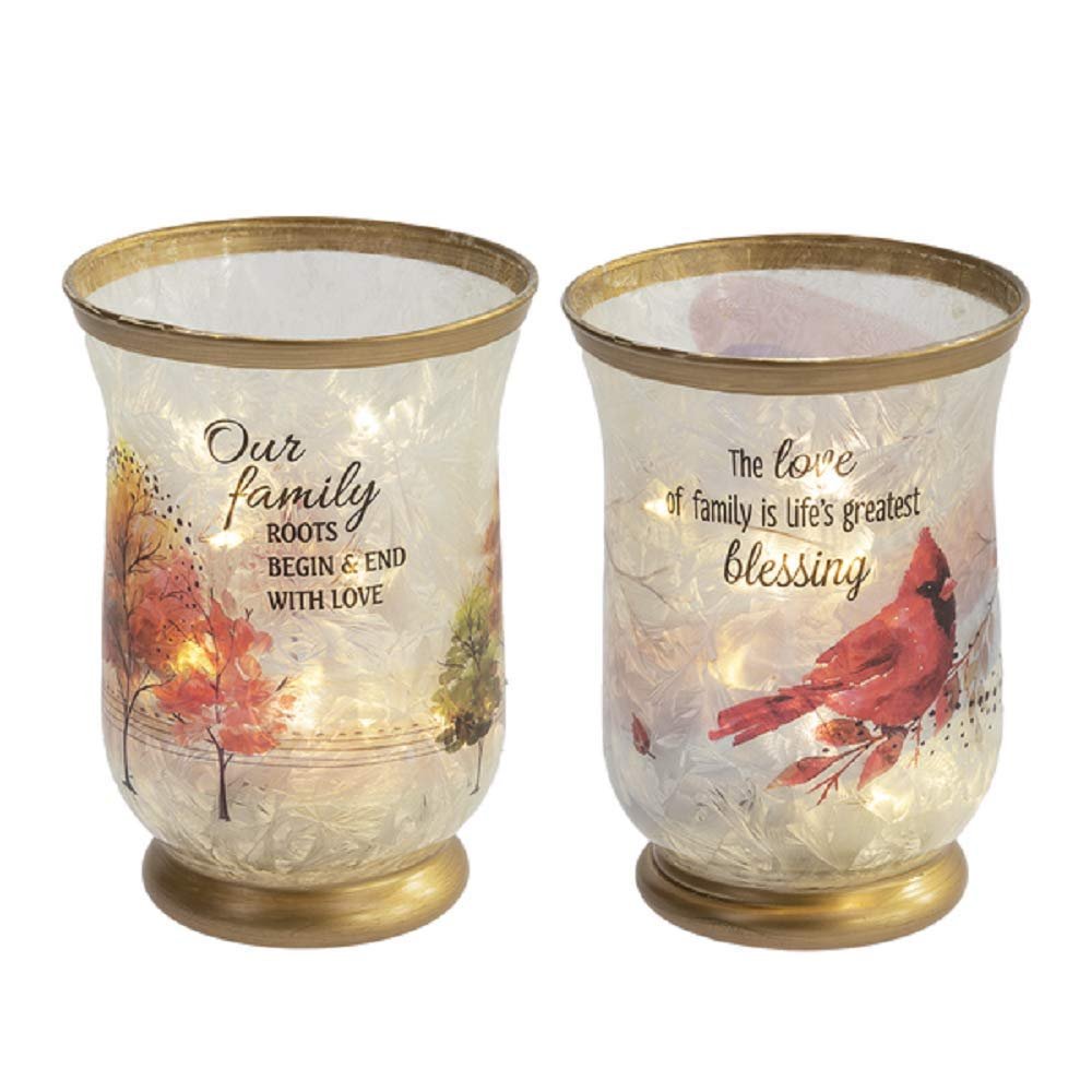 Ganz ER61965 The Beauty of Nature Jars with Light Decor, Set of 2, Glass