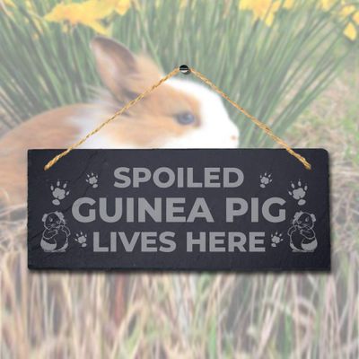 Stukk Spoiled Guinea Live Here Laser Hanging Pig Cote Pigsties Sign, 30x12cm, Natural Engraved Slate Stone Plaque