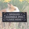 Stukk Spoiled Guinea Live Here Laser Hanging Pig Cote Pigsties Sign, 30x12cm, Natural Engraved Slate Stone Plaque view 1