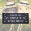 Stukk Spoiled Guinea Live Here Laser Hanging Pig Cote Pigsties Sign, 30x12cm, Natural Engraved Slate Stone Plaque view 2
