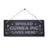 Stukk Spoiled Guinea Live Here Laser Hanging Pig Cote Pigsties Sign, 30x12cm, Natural Engraved Slate Stone Plaque view 3