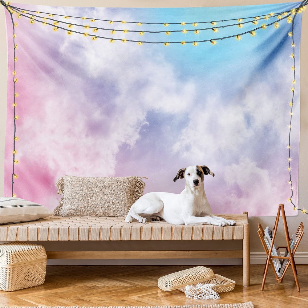 Ambesonne Pastel Tapestry King Size, Fantasy Sky Abstraction Smoky Clouds Foggy Ethereal Composition, Wall Hanging Bedspread Bed Cover Wall Decor, 104" X 88", Pink Blue
