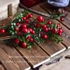 TONGTONG 1 Bouquet Artificial Pomegranate Flower Branches Apply to Home Office Living Room Wedding Party Garden Pastoral Style Creative Soft Decorations #05 view 2