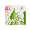 Vista Alegre Amazonia Set of 4 Coasters view 3
