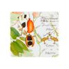 Vista Alegre Amazonia Set of 4 Coasters view 4
