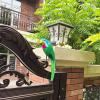 LWINGFLYER 14" Large Fake Parrot Artificial Simulation Foam Feather Parrot Bird for Crafts Pirate Costume Shoulder Prop Tropical Party Decoration (Green) view 4