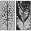 SIGNWIN Framed Wall Art Print Set Black & White Grayscale Tree & Plants Nature Wilderness Illustrations Modern Art Rustic Relax/Calm Multicolor for Living Room, Bedroom, Office - 24"x36"x2 White view 1