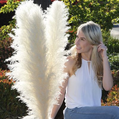 4 Large Fluffy Pampas Grass Decor Beige/Blonde - Naturally Dried Tall Pampas Grass - Home Decor for Tall Vase - 3-4 Ft Plume Size 80 - 120 cm - Stunning Flower Arrangements