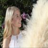 4 Large Fluffy Pampas Grass Decor Beige/Blonde - Naturally Dried Tall Pampas Grass - Home Decor for Tall Vase - 3-4 Ft Plume Size 80 - 120 cm - Stunning Flower Arrangements view 3