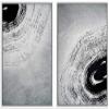 SIGNWIN 2 Piece Framed Canvas Wall Art Black and White Flowers Canvas Prints Home Artwork Decoration for Living Room,Bedroom - 24"x36"x2 Panels view 1