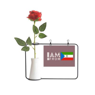 OFFbb-USA I Am from Equatorial Guinea Artificial Rose Flower Hanging Vases Decoration Bottle