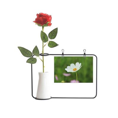 OFFbb-USA Pure White Cosmos Art Deco Gift Fashion Artificial Rose Flower Hanging Vases Decoration Bottle