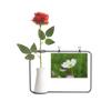 OFFbb-USA Pure White Cosmos Art Deco Gift Fashion Artificial Rose Flower Hanging Vases Decoration Bottle view 1