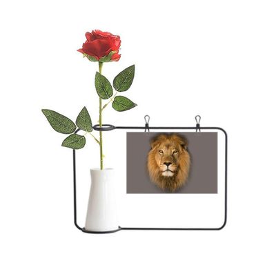 OFFbb-USA Lion Hair Ears Art Deco Gift Fashion Artificial Rose Flower Hanging Vases Decoration Bottle