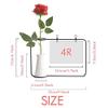 OFFbb-USA Lion Hair Ears Art Deco Gift Fashion Artificial Rose Flower Hanging Vases Decoration Bottle view 2