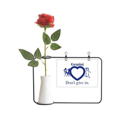 OFFbb-USA Motivation Constellation Love Gemini Artificial Rose Flower Hanging Vases Decoration Bottle, Multicolored, Medium