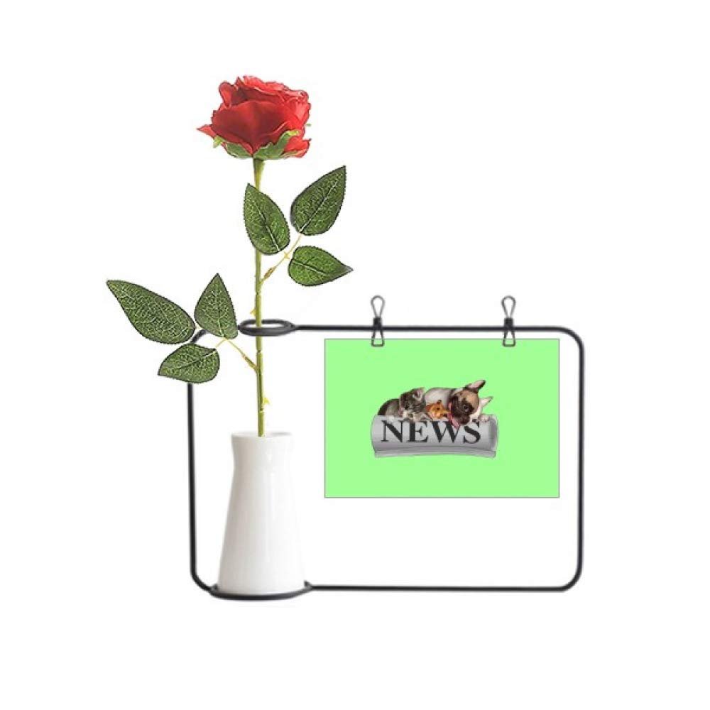 OFFbb-USA Roll Newspaper Pet Group Art Deco Gift Fashion Artificial Rose Flower Hanging Vases Decoration Bottle