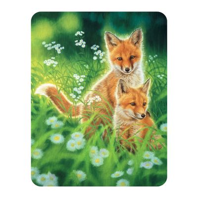 3D LiveLife Magnet - Spring Foxes from Deluxebase. Lenticular Wild Animal Refrigerator Magnet. Decorative 3D Fox Flat Magnets. Cute Small Magnets for Fridge, Dishwasher and Whiteboard.
