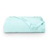 100% Cotton -Queen/Full Size 500 GSM,Soft Fluffy Duvet Insert with Corner Tabs,Baffle Box Stitched Comforter with 2 Pillowshams (3 pc | Sky Blue) view 2