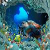 Niwo ART - Sea World B, Removable Wall Mural | Self-Adhesive Large Wallpaper (96"x144") view 2