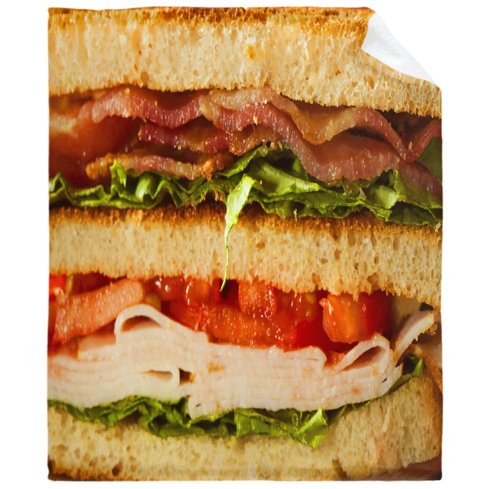 Bacon Sandwich Throw Blanket Flannel Fleece Air Conditioning Quilt Best Gift Lightweight Cozy Plush Blanket for Sofa Chair Bedroom M 60"x50" for Teens