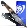 Dalstrong Paring Knife With Cover- 4-Scorpion Series - Venom Edition - Japanese Steel Chef Knife - Spiral Sandstorm Blade Pattern - Black Honeycomb Resin Handle - w/Leather Sheath view 1