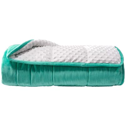 ALANSMA Reversible Weighted Blanket for All Season, Luxury Velvet, Warm and Cool, Adult 15Lb Green Weighted Blanket, Enjoy Sleeping Anywhere(Light Green,60"x80" 15lbs)