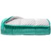 ALANSMA Reversible Weighted Blanket for All Season, Luxury Velvet, Warm and Cool, Adult 20Lb Green Weighted Blanket, Enjoy Sleeping Anywhere(Light Green,60"x80" 20lbs) view 1