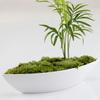 DOITOOL 30pcs Plant Pot Shovel Bonsai Garden Shovel Spoon Small Loosen The Spoon Mini Zen Garden Sand Spoon Tool view 4