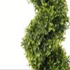 35 Inch Artificial Boxwood Topiary Tree Spiral Plants Fake Faux Plant Decor in Plastic Pot Green Indoor or Outdoor, Set of 2 view 2