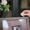 Y&K Homish Wedding Guest Book Set Alternative Rustic Wedding Decorations for Reception Wedding Signs Rustic Brown Set view 4