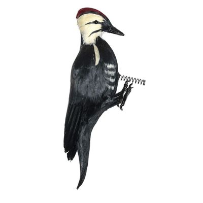 Woodpecker Decoy Effigy - Life-Like Woodpecker Deterrent & Decoration