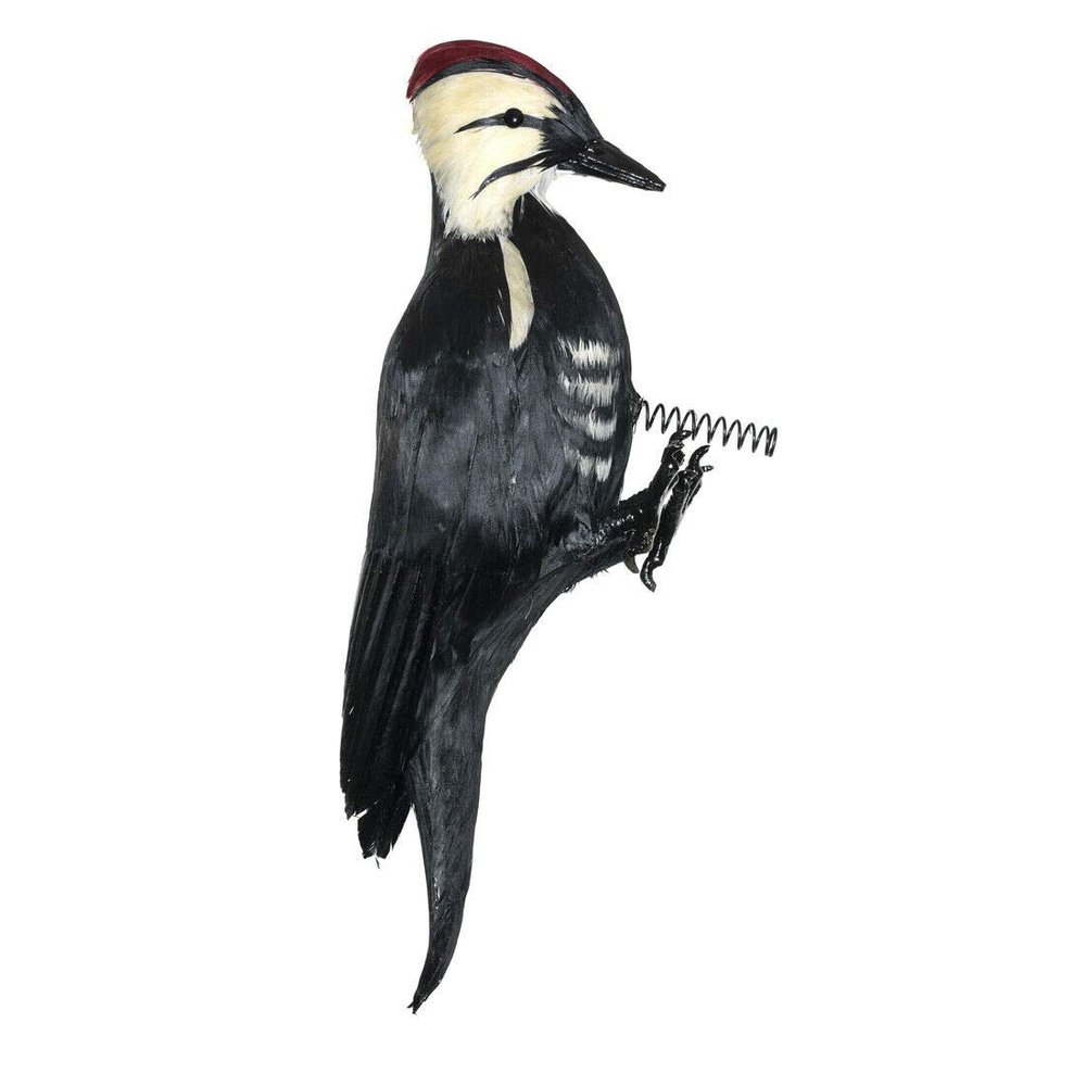 Woodpecker Decoy Effigy - Life-Like Woodpecker Deterrent & Decoration