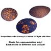 Yooperlite Authentic Glow Stone from Michigan's Upper Peninsula RAW Not Tumbled or Polished (3oz) view 2